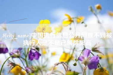 孝感中国执行信息公开网查不到被执行人是不是已解除限高