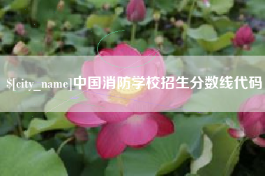 孝感中国消防学校招生分数线代码