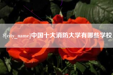孝感中国十大消防大学有哪些学校