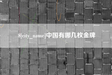 孝感中国有哪几枚金牌