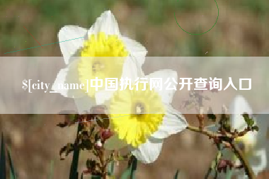 孝感中国执行网公开查询入口