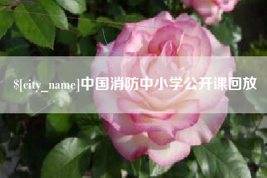 孝感中国消防中小学公开课回放