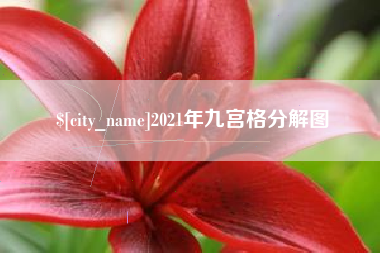 孝感2021年九宫格分解图