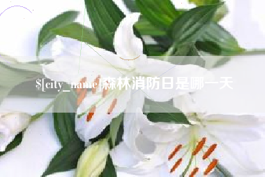 孝感森林消防日是哪一天