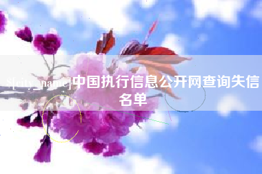 孝感中国执行信息公开网查询失信名单