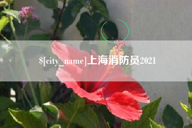 孝感上海消防员2021