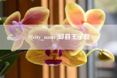 孝感邱县王子磊