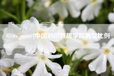 孝感中国消防救援学院男女比例
