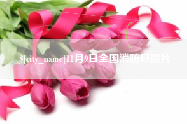 孝感11月9日全国消防日图片