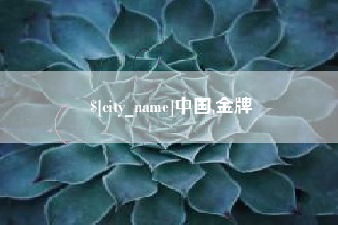 孝感中国,金牌