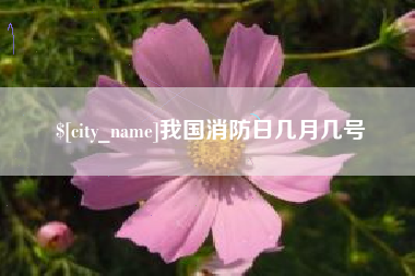 孝感我国消防日几月几号