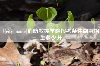 孝感消防救援学院报考条件湖南招生多少分