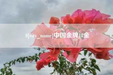 孝感中国金牌18金