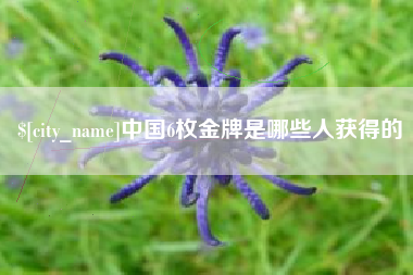 孝感中国6枚金牌是哪些人获得的