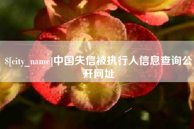 孝感中国失信被执行人信息查询公开网址
