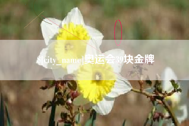 孝感奥运会39块金牌