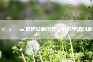 孝感消防设施操作员证书查询网址