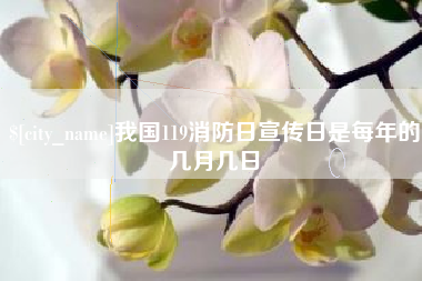 孝感我国119消防日宣传日是每年的几月几日