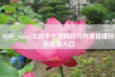 孝感全国中小学消防公开课直播回放观看入口
