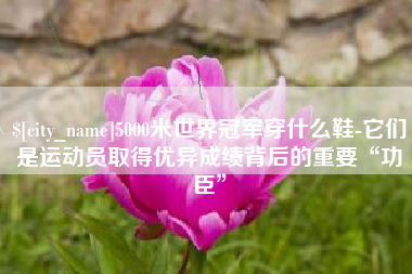孝感5000米世界冠军穿什么鞋-它们是运动员取得优异成绩背后的重要“功臣”