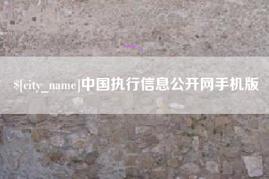孝感中国执行信息公开网手机版