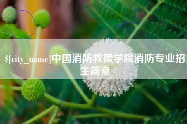 孝感中国消防救援学院消防专业招生简章