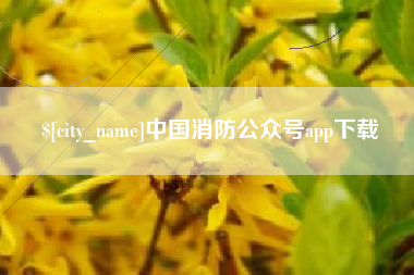 孝感中国消防公众号app下载