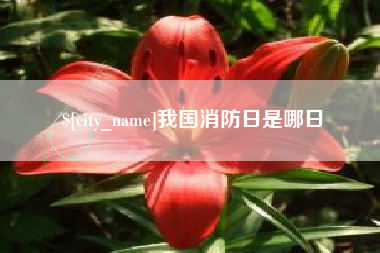 孝感我国消防日是哪日