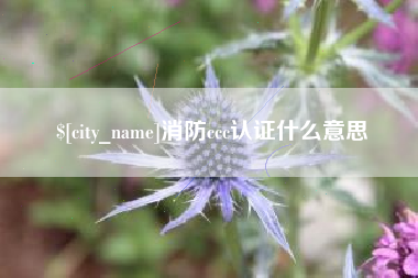 孝感消防ccc认证什么意思