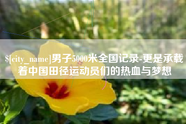 孝感男子5000米全国记录-更是承载着中国田径运动员们的热血与梦想