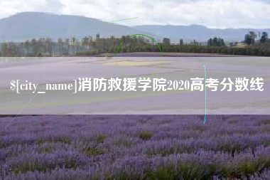 孝感消防救援学院2020高考分数线