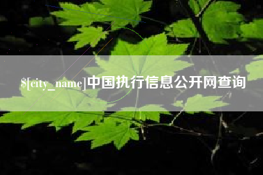 孝感中国执行信息公开网查询