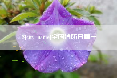孝感全国消防日哪一