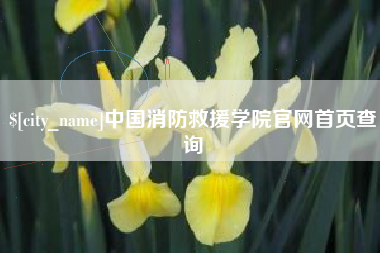 孝感中国消防救援学院官网首页查询