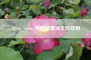 孝感消防证查询全国联网