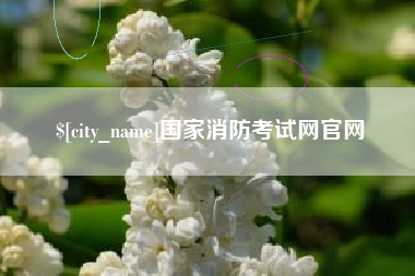 孝感国家消防考试网官网