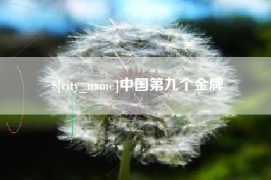 孝感中国第九个金牌