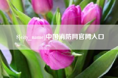 孝感中国消防网官网入口