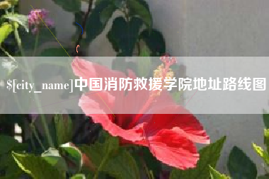 孝感中国消防救援学院地址路线图