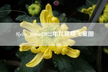 孝感2022年九宫格飞星图