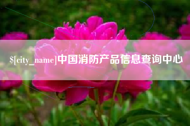 孝感中国消防产品信息查询中心