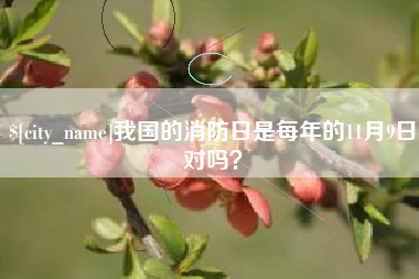 孝感我国的消防日是每年的11月9日对吗？