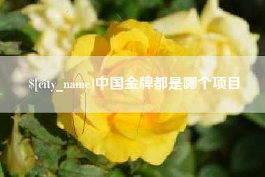 孝感中国金牌都是哪个项目