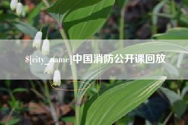 孝感中国消防公开课回放