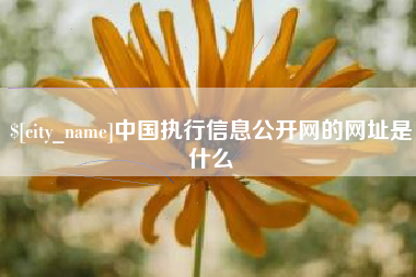 孝感中国执行信息公开网的网址是什么