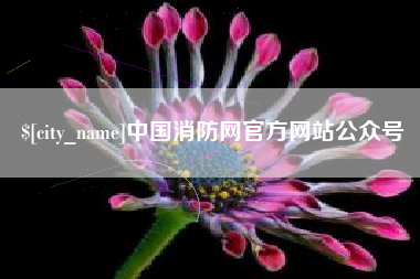 孝感中国消防网官方网站公众号