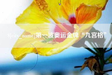 孝感第一波奥运金牌“九宫格”