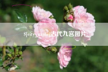 孝感古代九宫图片