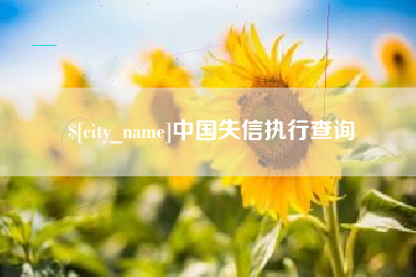 孝感中国失信执行查询