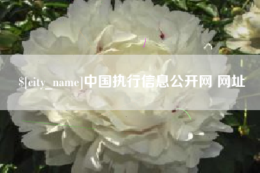 孝感中国执行信息公开网 网址